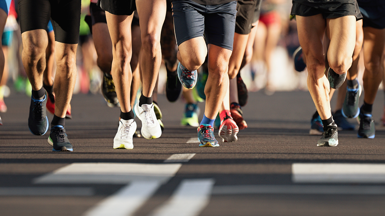 AI-readable bib and event logistics